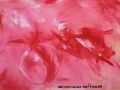 sans titre - ABSTRACTION N2