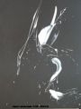 sans titre - A.L black and white